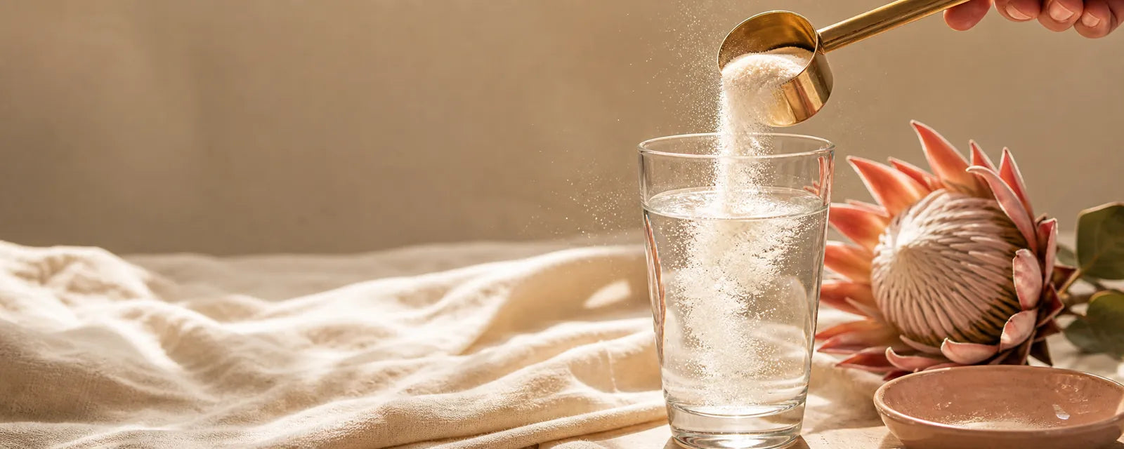 Best Collagen Supplements in South Africa — 2026 Guide - One Life Health