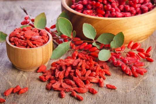 Berberine supplement capsules alongside barberry and tree turmeric plants used as natural sources