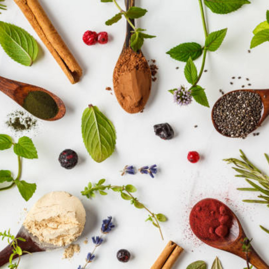 Assortment of dried herbs and herbal supplement capsules arranged on a wooden surface for immune support