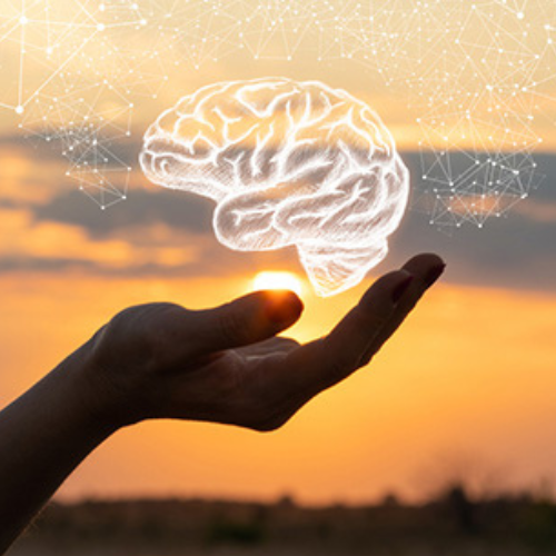 Mental health and cognitive support supplements available at Onelife Health South Africa