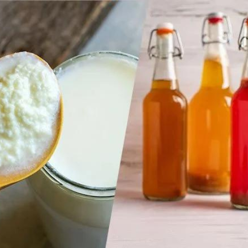 Selection of fermented food products available at Onelife Health South Africa