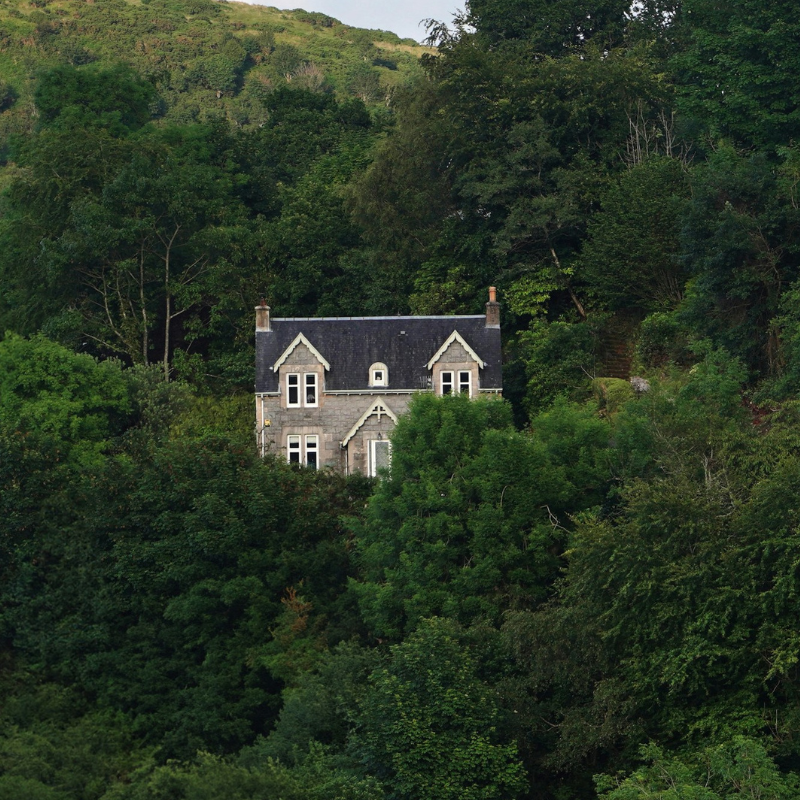 Healthy home products including natural cleaning and non-toxic household essentials