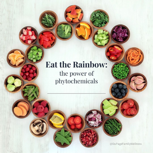 Phytochemical plant-based supplements collection at Onelife Health South Africa