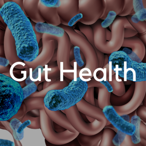 Gut health supplements collection available online at Onelife Health South Africa