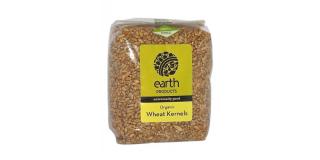 EARTH PRODUCTS - Organic Whole Wheat Kernels - 500g | One Life Health
