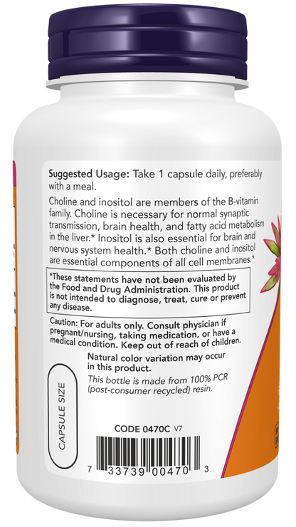 NOW® - Choline & Inositol - 100 Veg Capsules | One Life Health