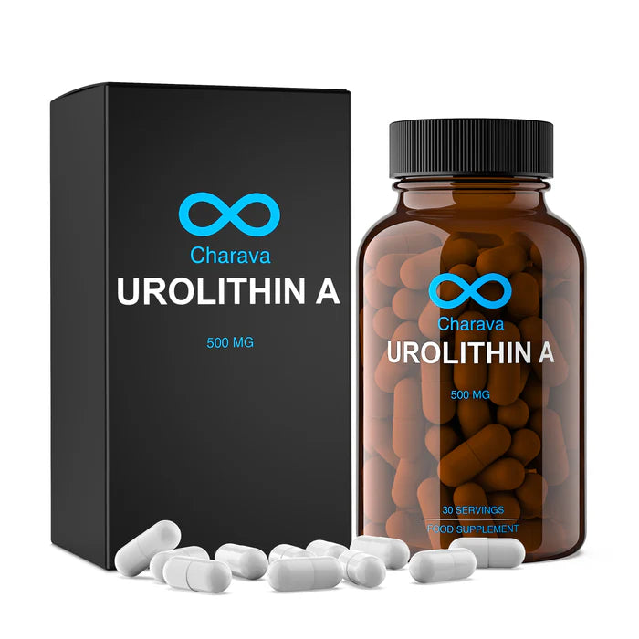 CHARAVA - Urolithin A 500 mg - 30 Capsules | One Life Health