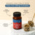 TERRANOVA - Easy Iron 20 mg Complex  – 50 Capsules