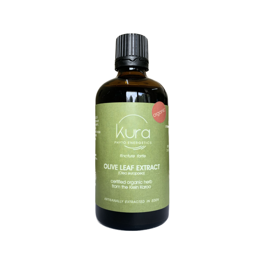 KURA - Olive Leaf Extract - 100ml | One Life Health