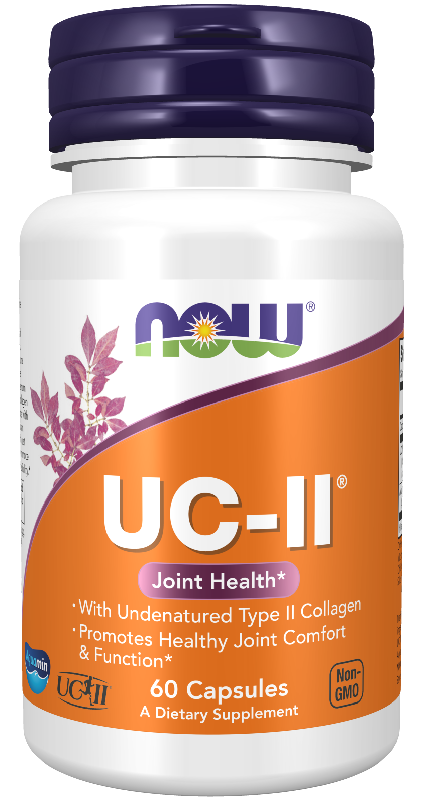 NOW® - UC-II® Type II Collagen - 60 Capsules | One Life Health