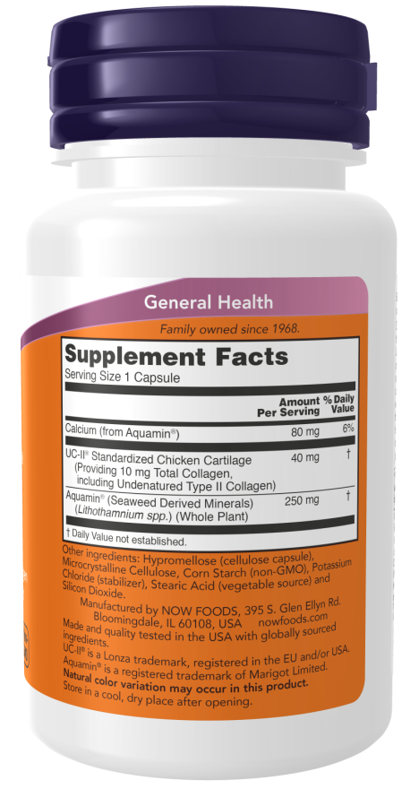 NOW® - UC-II® Type II Collagen - 60 Capsules | One Life Health
