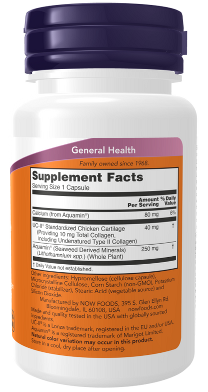 NOW® - UC-II® Type II Collagen - 60 Capsules | One Life Health
