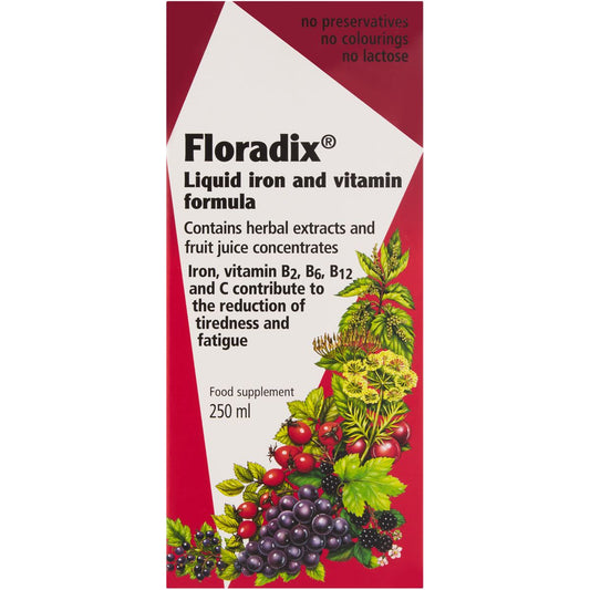 FLORADIX - Liquid Iron - 250ml | One Life Health