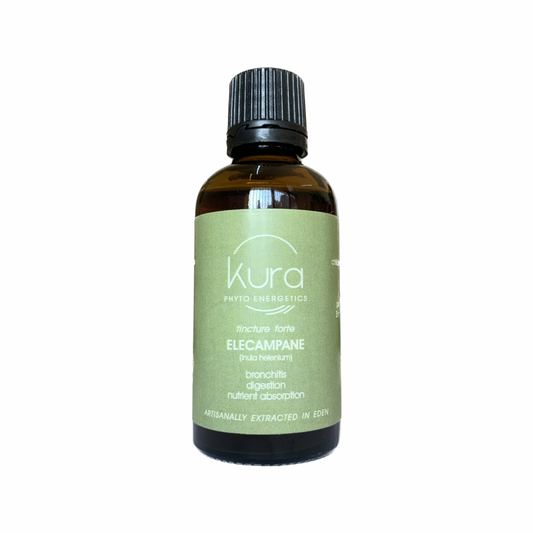 KURA - Elecampane - 50ml | One Life Health