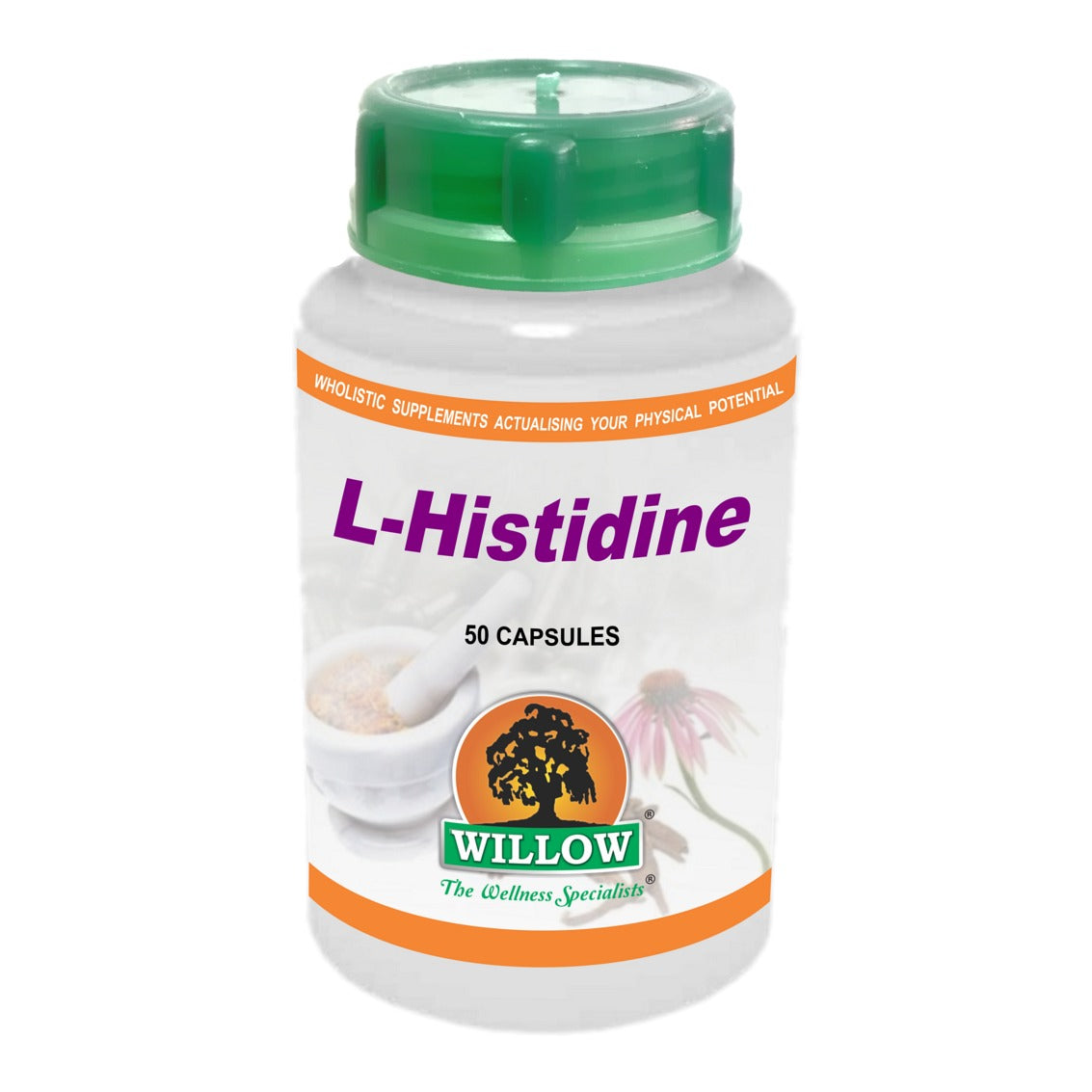 WILLOW - L-Histidine - 50 Capsules | One Life Health