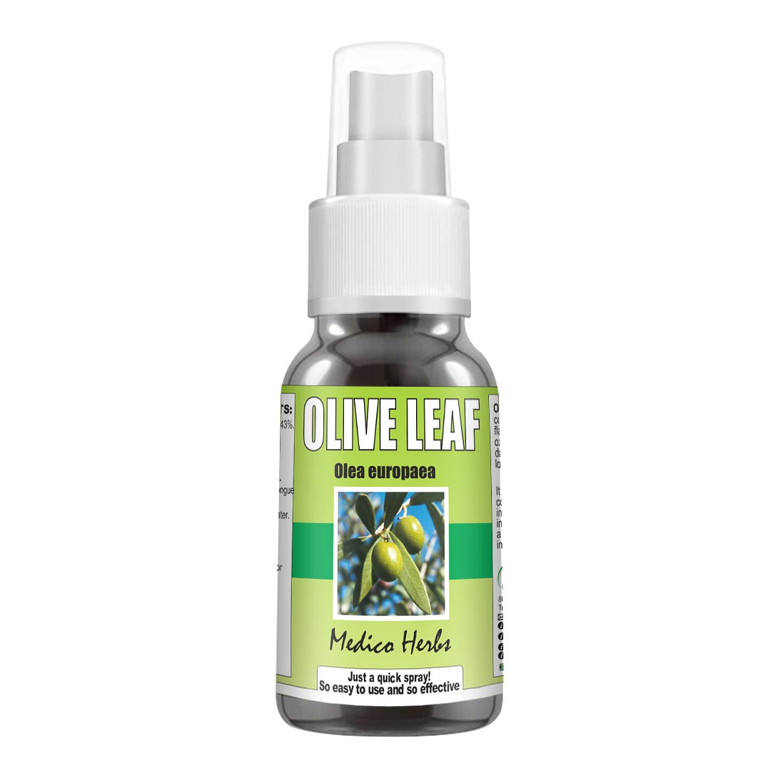 MEDICO HERBS - Olive Leaf Spray - 50ml | One Life Health