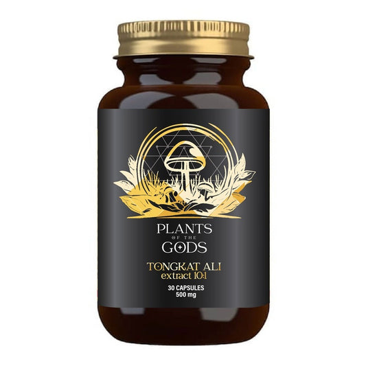 PLANTS OF THE GODS - Tongkat Ali Extract 10:1 500mg - 30 Capsules | One Life Health