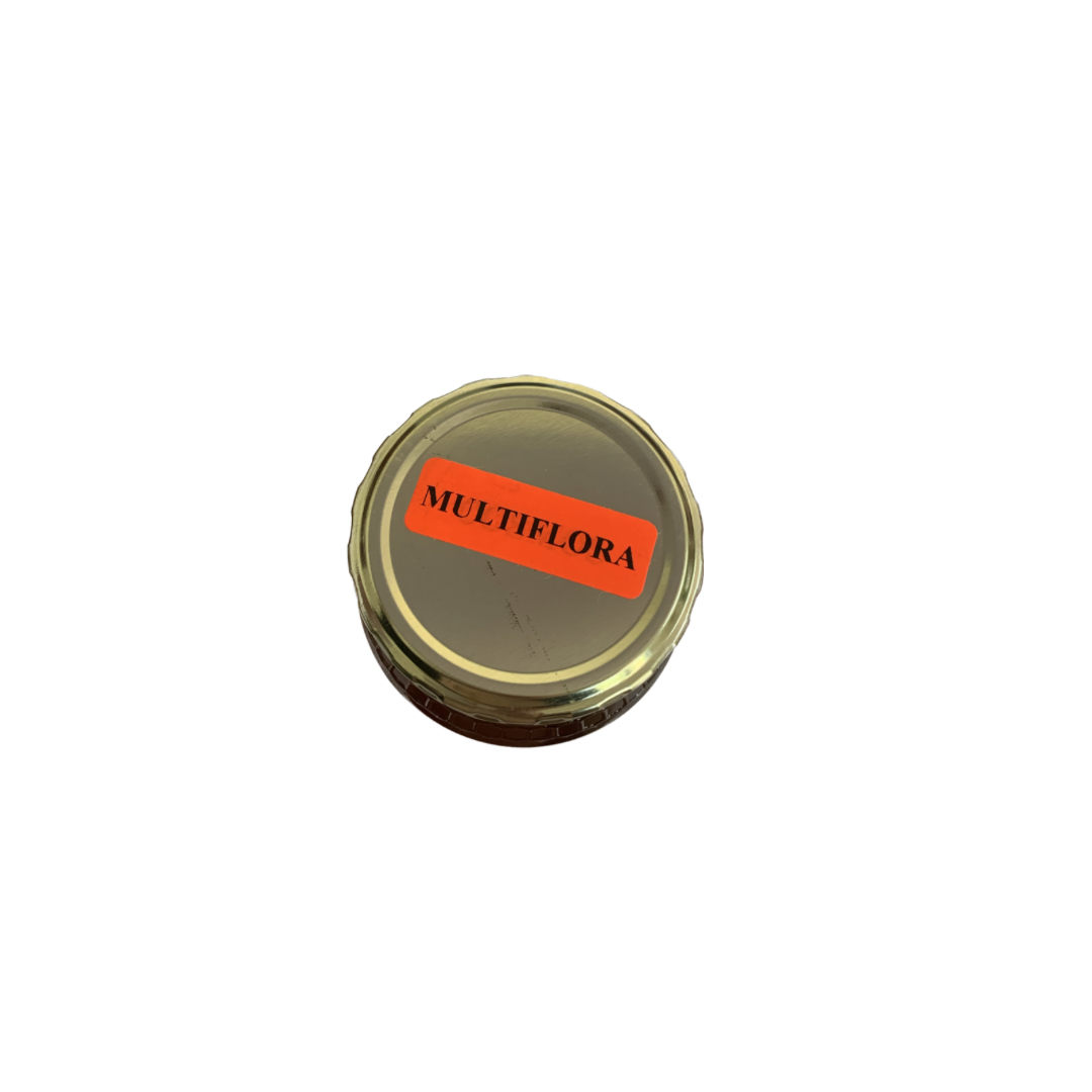 THE HONEYJAR - Raw Honey Multiflora - 500g | One Life Health