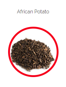PHARMA GERMANIA - African Potato - 100g | One Life Health
