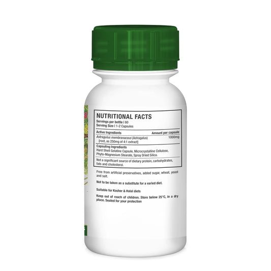NUTRIHERB - Astragalus 60 Capsules | One Life Health