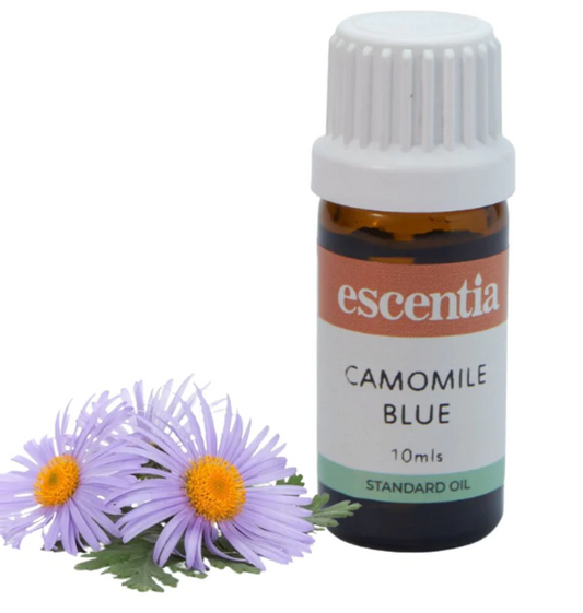 ESCENTIA - Blue Camomile Oil - 10ml | One Life Health