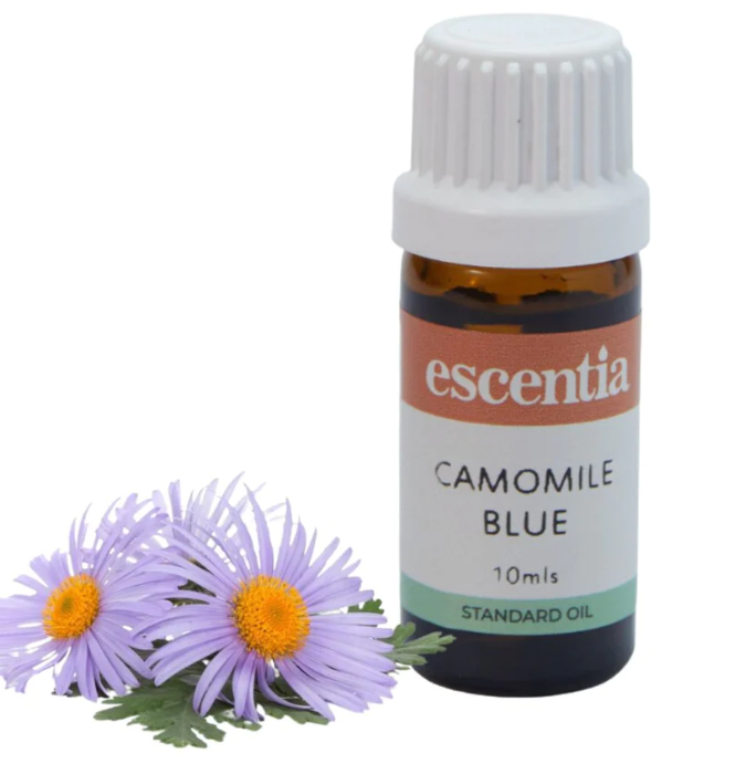 Escentia Blue Camomile Oil 10ml Onelifehealth 5208