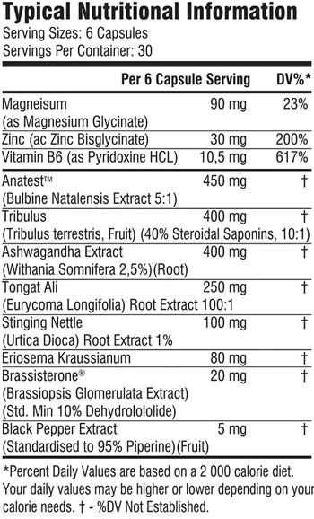 SSA Barbarian Nutrition - Hammer Test 2.0 - 180 Capsules | One Life Health