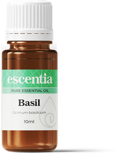 ESCENTIA - Basil Essential Oil - 10ml
