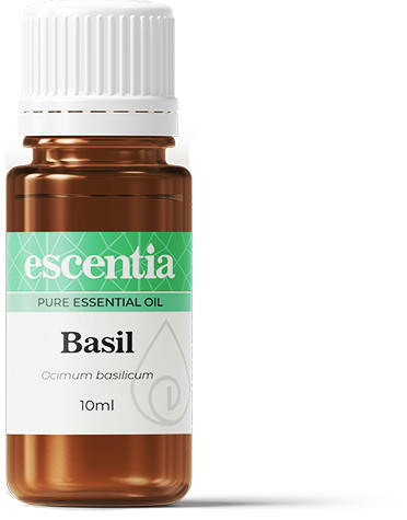 ESCENTIA - Basil Essential Oil - 10ml | One Life Health