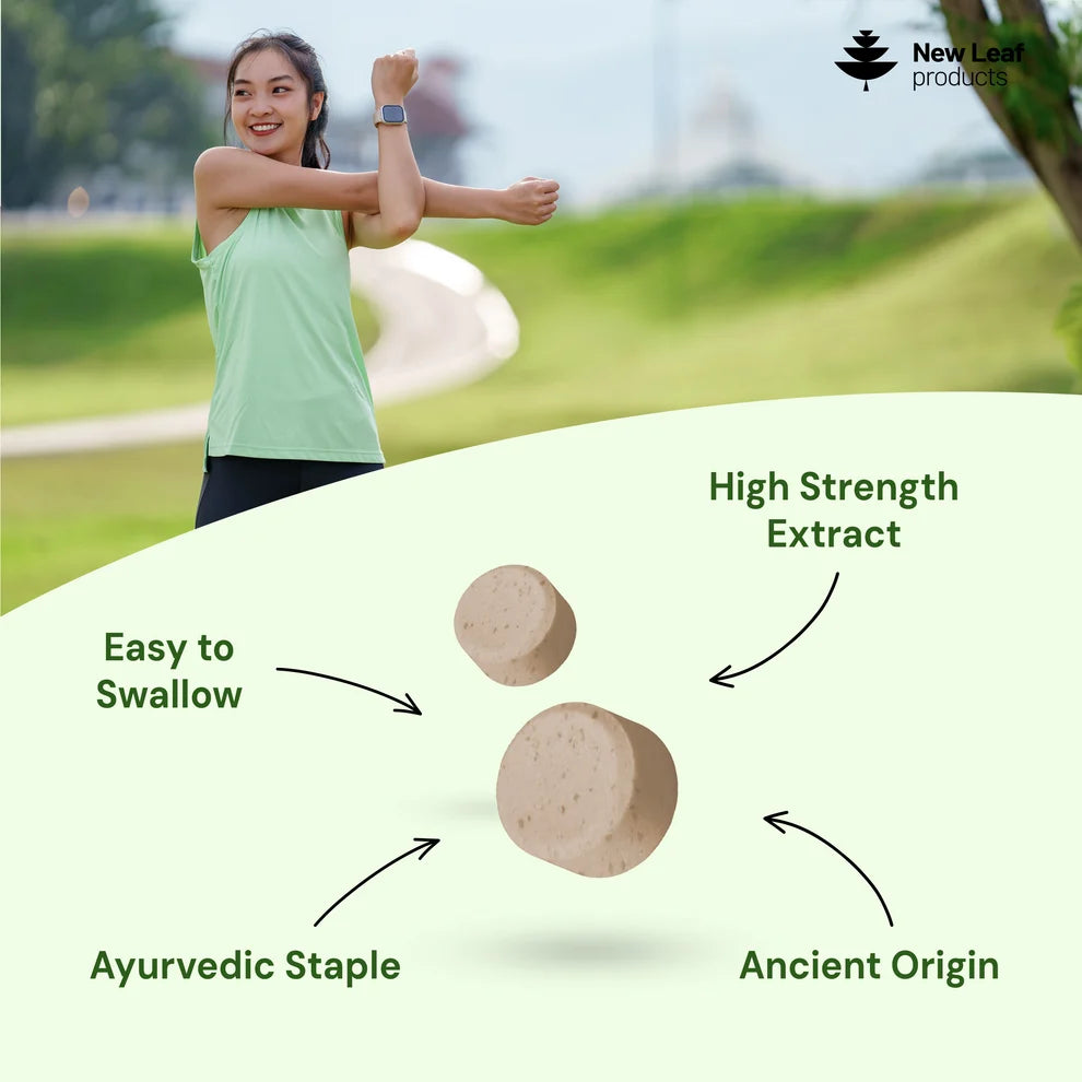 NEW LEAF - Ashwagandha KSM-66 1200mg - 365 Tablets