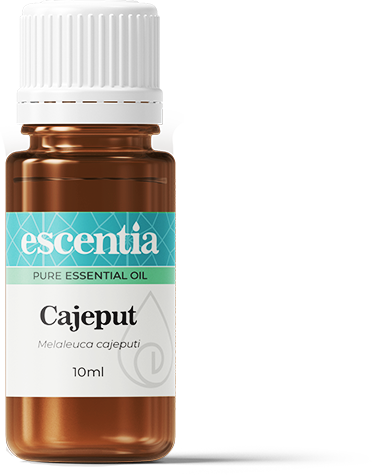 ESCENTIA - Cajeput Essential Oil - 10ml | One Life Health
