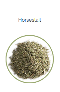 PHARMA GERMANIA - Horsetail - 75g | One Life Health