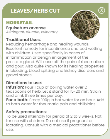 PHARMA GERMANIA - Horsetail - 75g | One Life Health