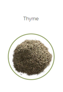PHARMA GERMANIA - Thyme - 100g | One Life Health