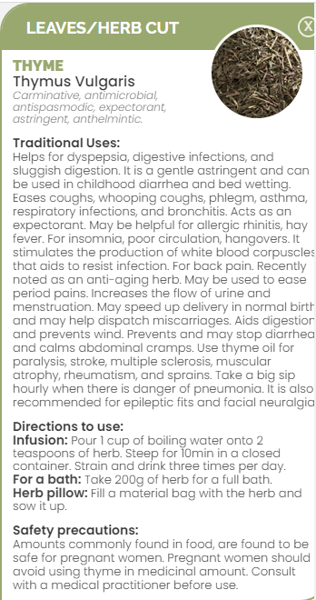 PHARMA GERMANIA - Thyme - 100g | One Life Health