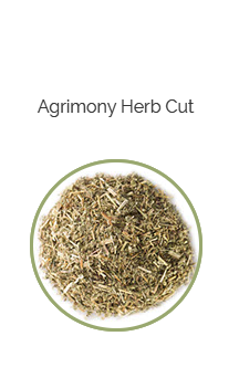 PHARMA GERMANIA - Agrimony Herb Cut - 75g | One Life Health
