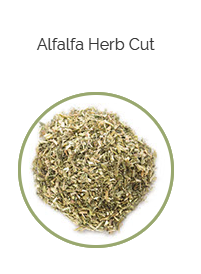 PHARMA GERMANIA - Alfalfa Herb - 75g | One Life Health