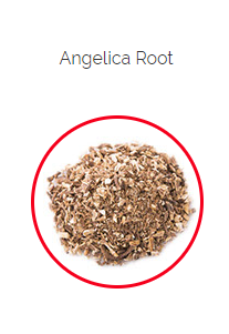 PHARMA GERMANIA - Angelica Root Cut - 100g | One Life Health