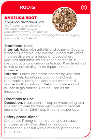 PHARMA GERMANIA - Angelica Root Cut - 100g | One Life Health