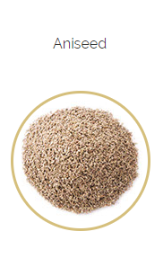 PHARMA GERMANIA - Aniseed - 100g | One Life Health