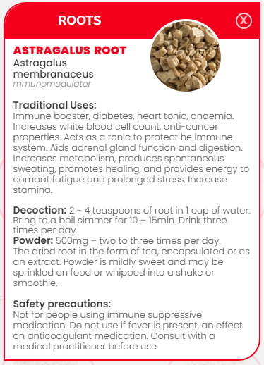 PHARMA GERMANIA - Astragalus - 75g | One Life Health