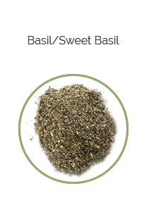 PHARMA GERMANIA - Basil - 100g | One Life Health
