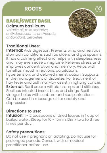 PHARMA GERMANIA - Basil - 100g | One Life Health
