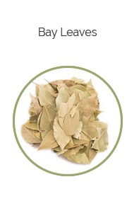 PHARMA GERMANIA - Bay Leaves - 50g | One Life Health