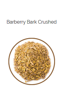 PHARMA GERMANIA - Barberry Bark Crushed - 75g | One Life Health