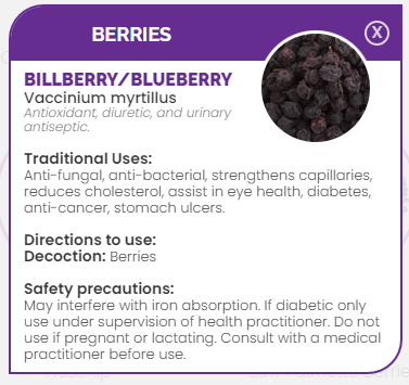 PHARMA GERMANIA - Bilberries - 100g | One Life Health