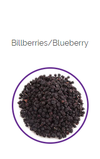 PHARMA GERMANIA - Bilberries - 100g | One Life Health