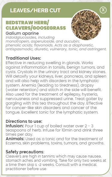 PHARMA GERMANIA - Bedstraw Herb Cut - 75g | One Life Health