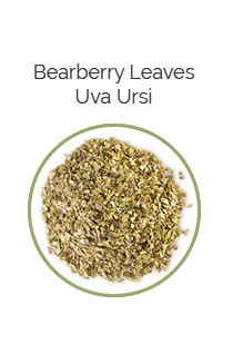 PHARMA GERMANIA - Bearberry Leaves - 100g | One Life Health