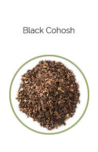 PHARMA GERMANIA - Black Cohosh - 75g | One Life Health